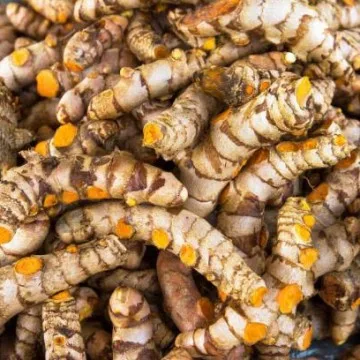 acafrao da terra organico tudo da terra