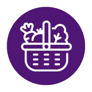 TUDO DA TERRA ICONES CESTAS AVULSAS