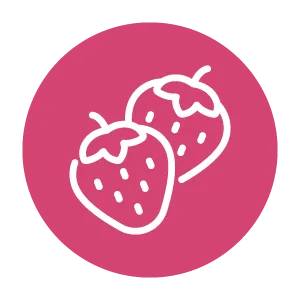 TUDO DA TERRA ICONES FRUTAS