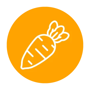 TUDO DA TERRA ICONES LEGUMES