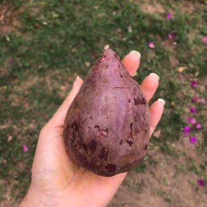 Batata doce roxa - 500g a 600g