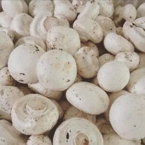 Cogumelo paris - 200g