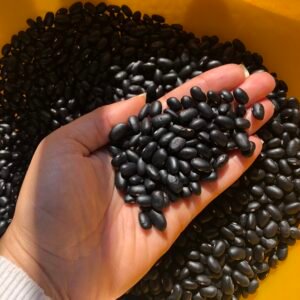 Feijão preto - 500g