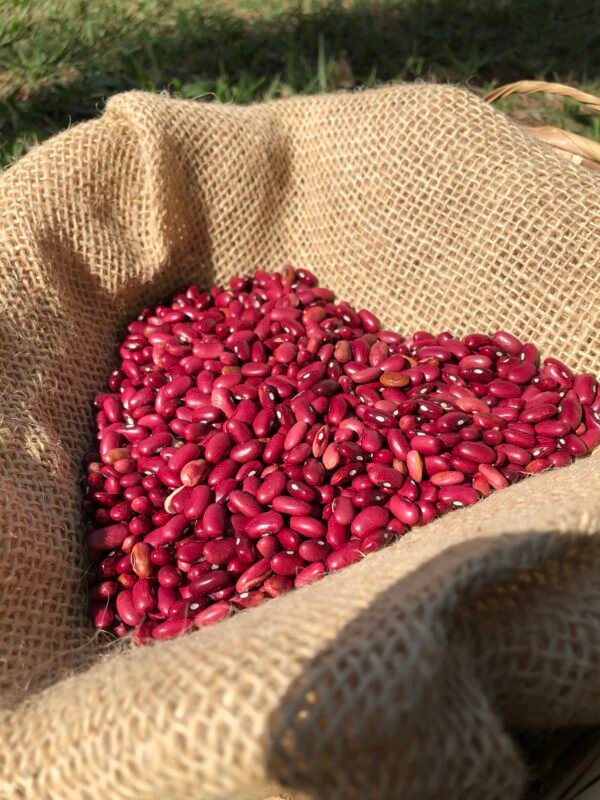 feijão vermelho - 500g
