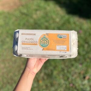 Ovo - cx com 10 unidades